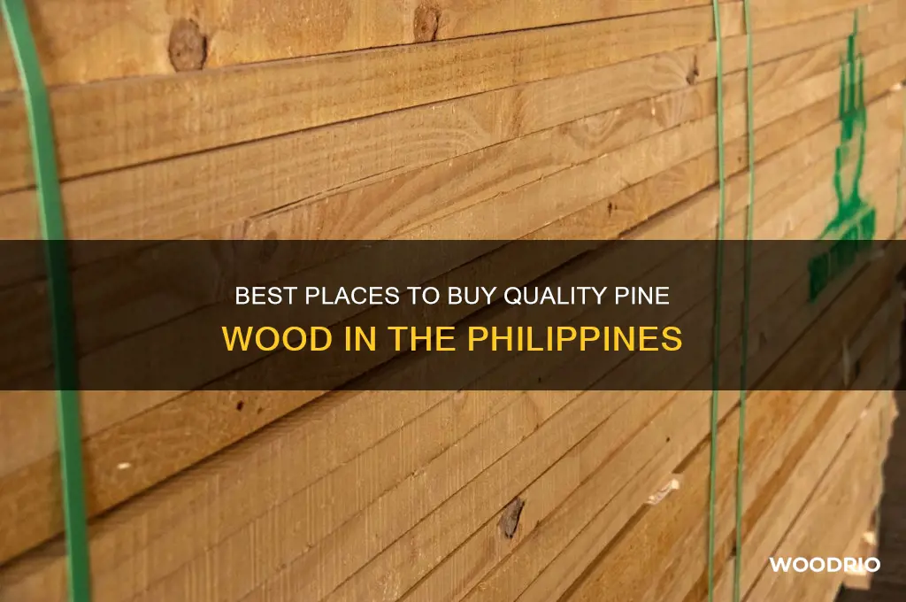 where to buy pine wood philippines