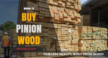 Best Places to Buy High-Quality Pinion Wood for Your Needs