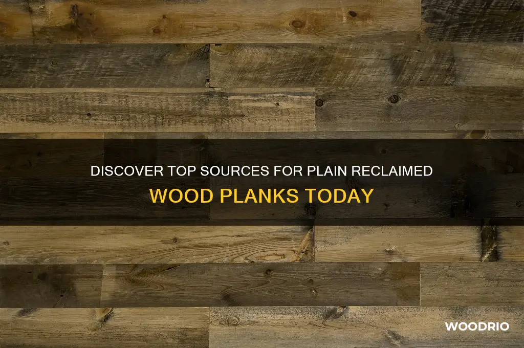 where to buy plain reclaimed wood planks