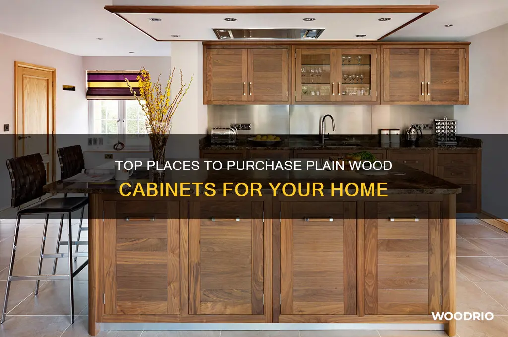 where to buy plain wood cabinets