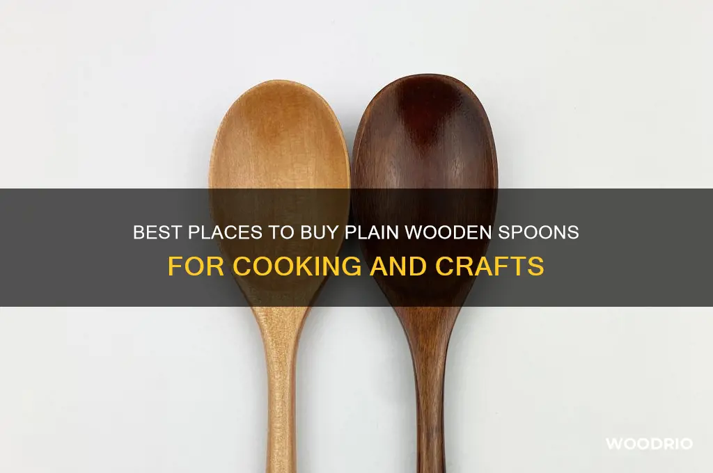 where to buy plain wooden spoon