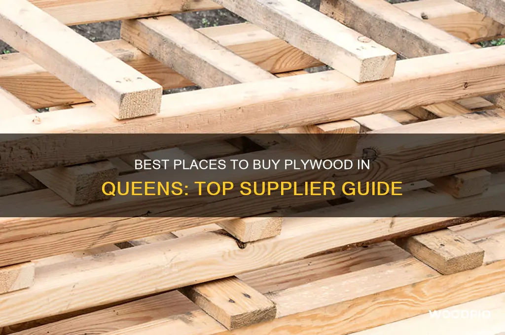where to buy ply wood in queens