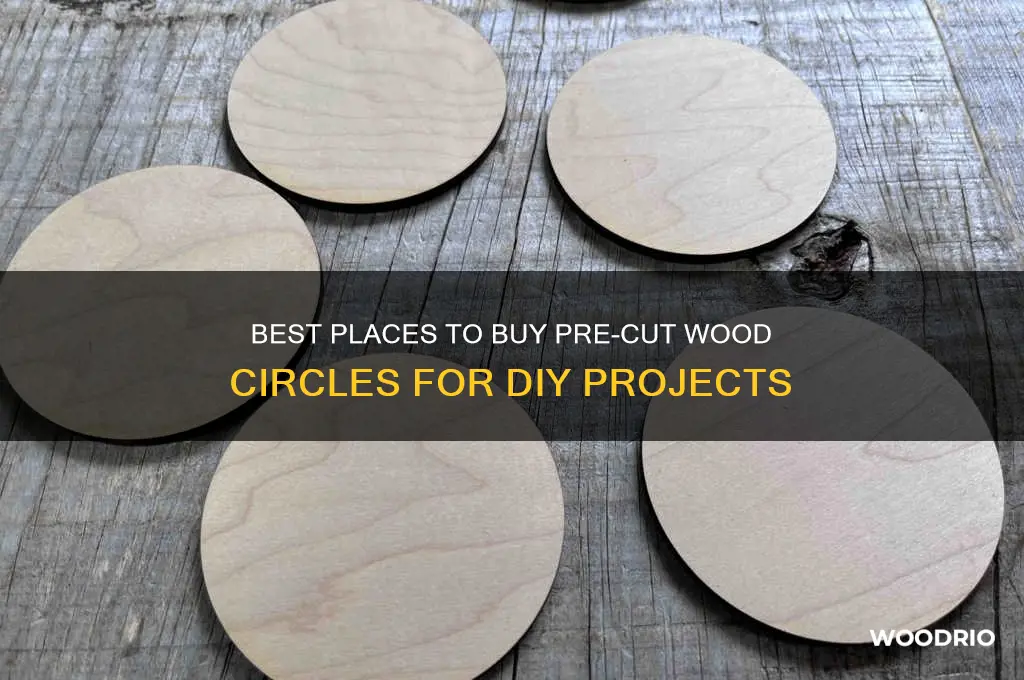 where to buy pre cut wood circles