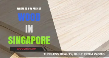 Top Spots to Buy Pre-Cut Wood in Singapore for DIY Projects