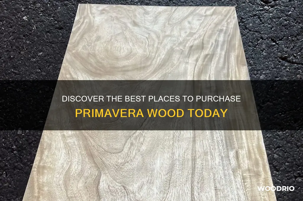 where to buy primavera wood