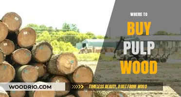Top Pulp Wood Suppliers: Where to Buy Quality Pulp Wood