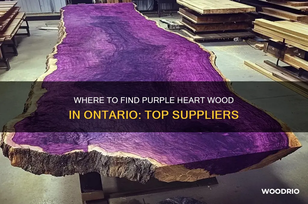 where to buy purple heart wood in ontario