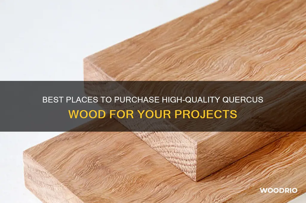 where to buy quercus wood