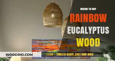 Discover Unique Sources to Buy Rainbow Eucalyptus Wood Online