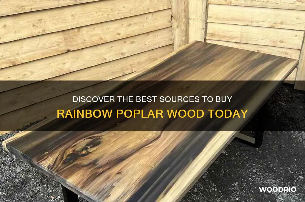 where to buy rainbow poplar wood