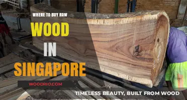 Discover Singapore's Best Spots to Buy Raw Wood for Your Projects
