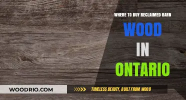Discover Ontario's Best Sources for Reclaimed Barn Wood Today