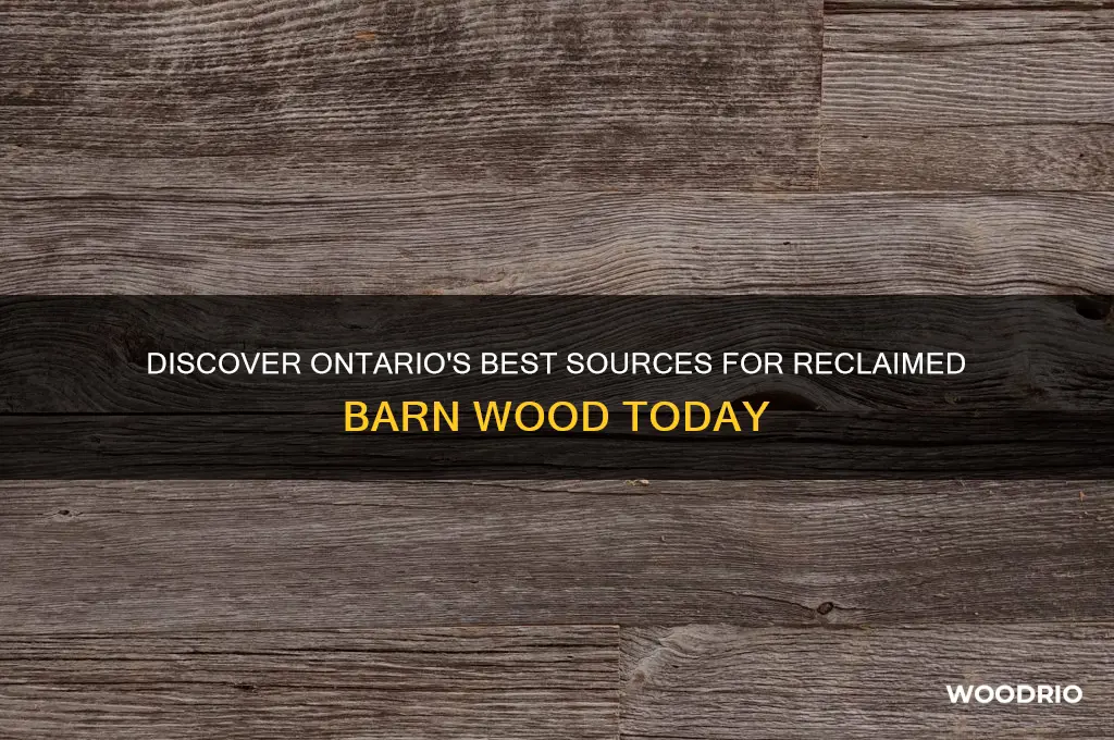where to buy reclaimed barn wood in ontario