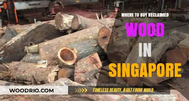 Discover Singapore's Top Spots for Reclaimed Wood Purchases