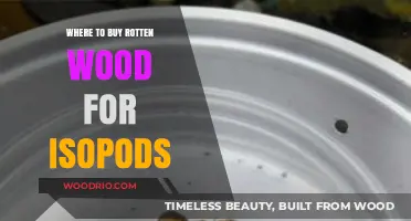 Best Sources for Purchasing Decaying Wood to Feed Your Isopods