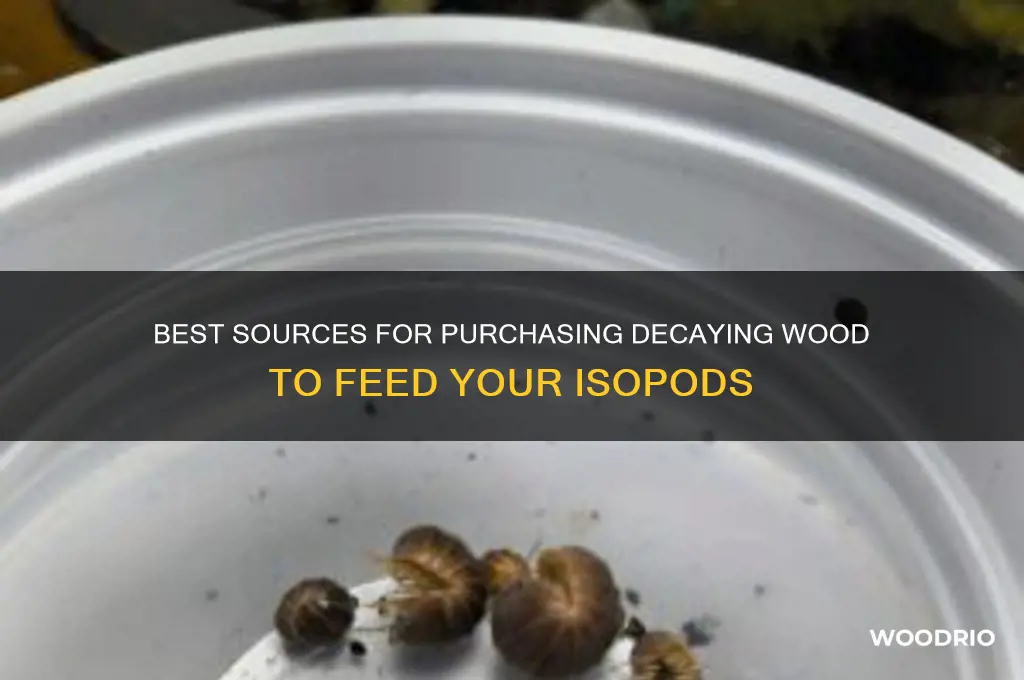 where to buy rotten wood for isopods