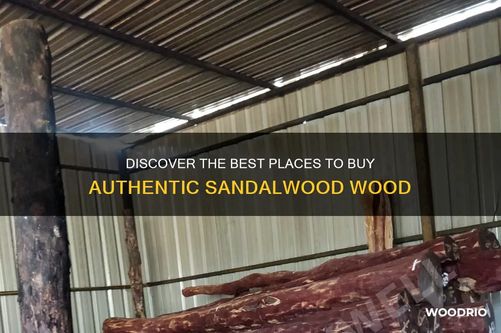 where to buy sandalwood wood