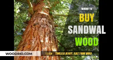 Discover the Best Places to Buy Sandalwood Online and Locally