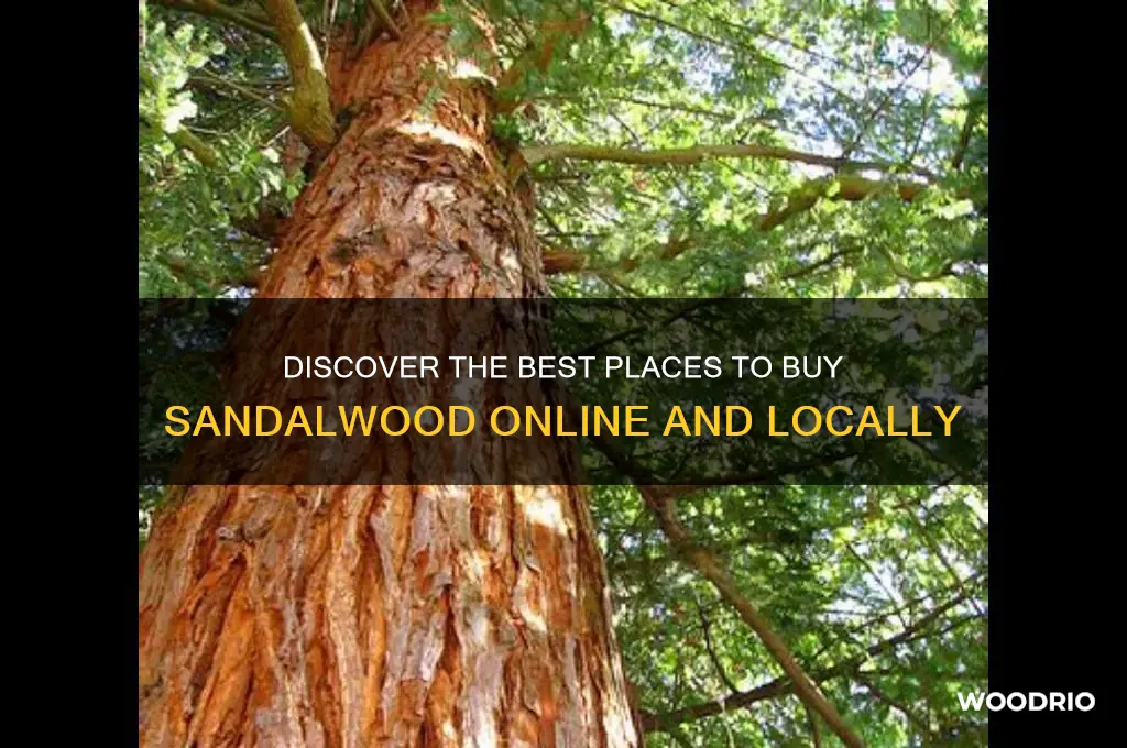 where to buy sandwal wood