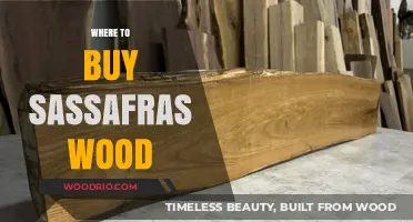 Best Places to Purchase Sassafras Wood for Your Next Project