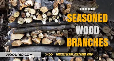 Best Places to Purchase Seasoned Wood Branches for Your Fireplace