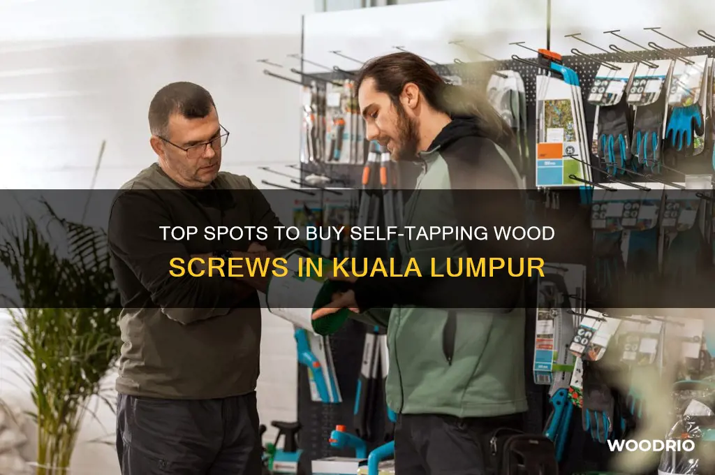 where to buy self tapping wood screws in kuala lumpur