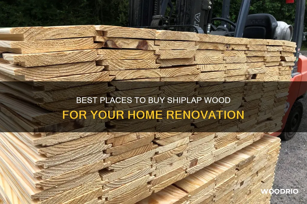 where to buy shiplap wood