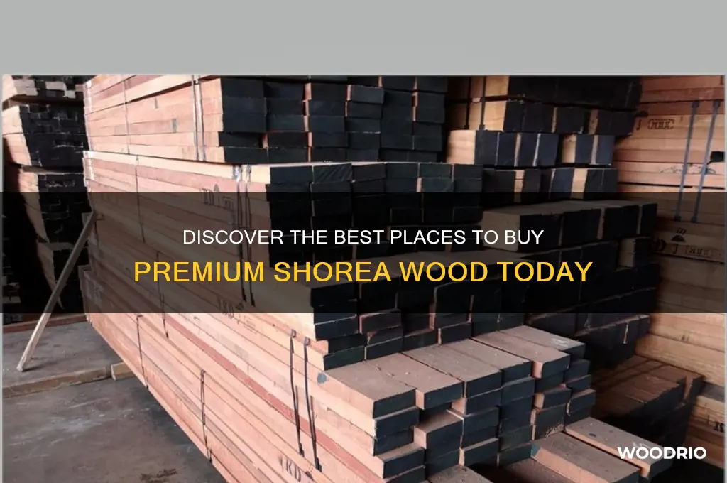 where to buy shorea wood