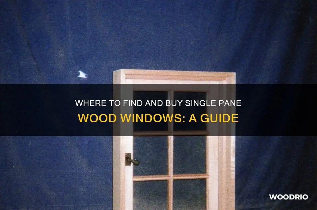 where to buy single pane wood windows