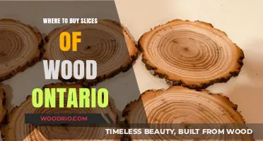 Where to Buy Wood Slices in Ontario: Top Suppliers Guide