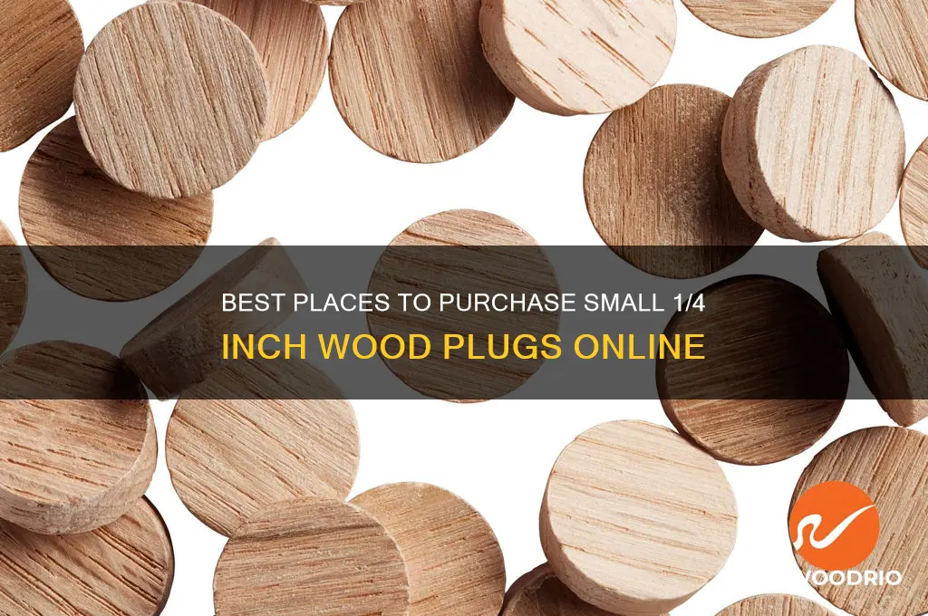where to buy small 1 4 in wood plugs