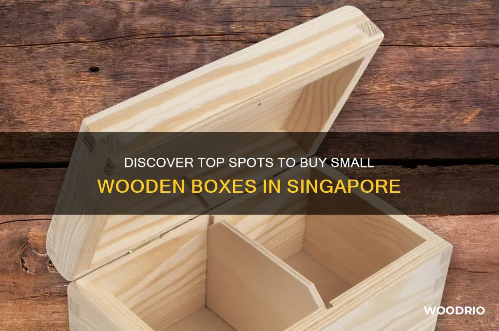 where to buy small wooden boxes in singapore