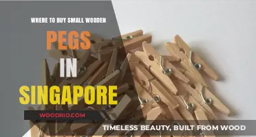 Best Places to Buy Small Wooden Pegs in Singapore