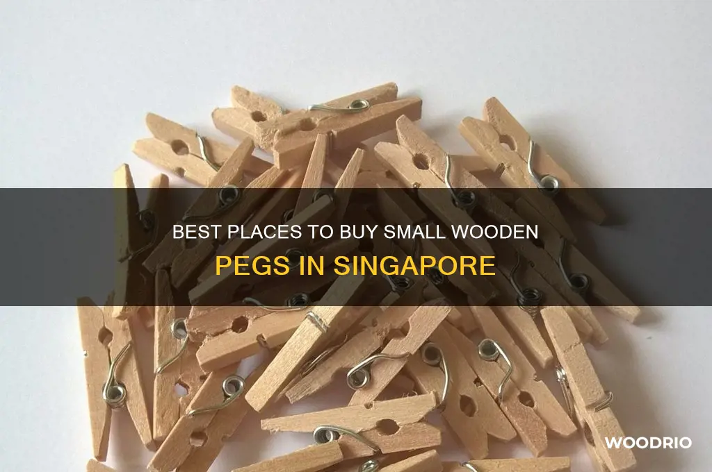 where to buy small wooden pegs in singapore