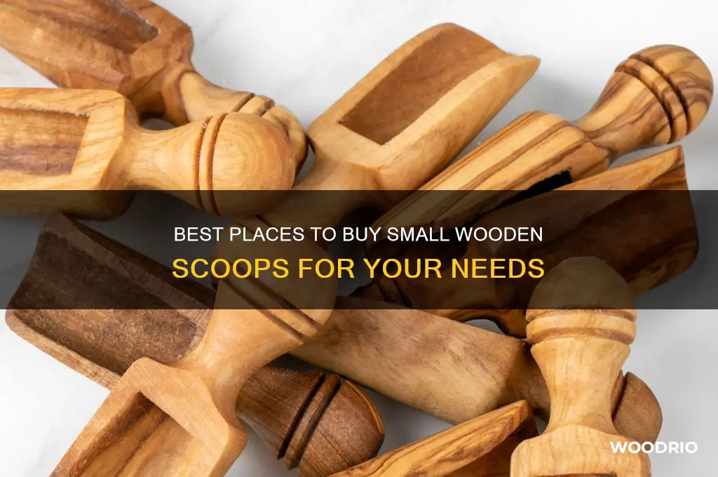 where to buy small wooden scoops