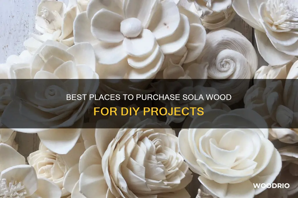 where to buy sola wood