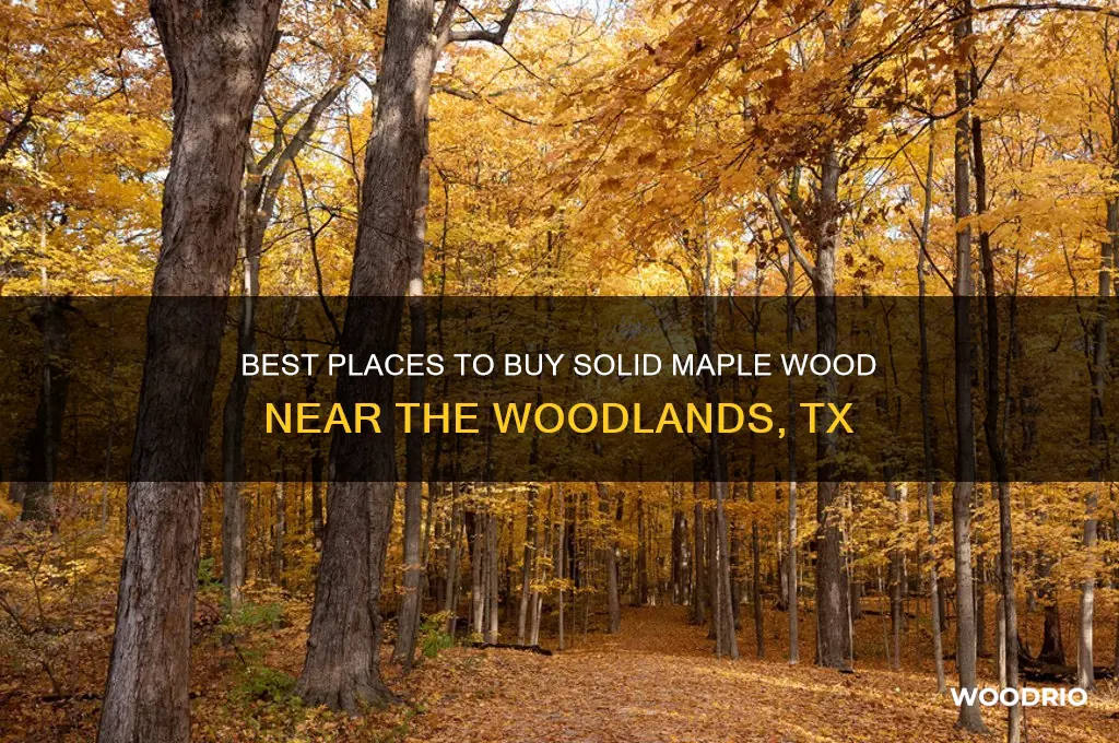 where to buy solid maple wood near the woodlands tx