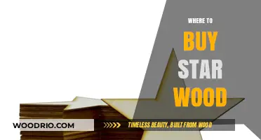 Discover the Best Places to Purchase Star Wood Online