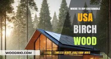 Eco-Friendly USA Birch Wood: Top Sustainable Suppliers to Buy From