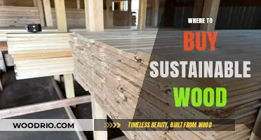 Eco-Friendly Choices: Where to Buy Sustainable Wood Responsibly