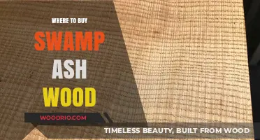 Best Places to Purchase Swamp Ash Wood for Your Projects