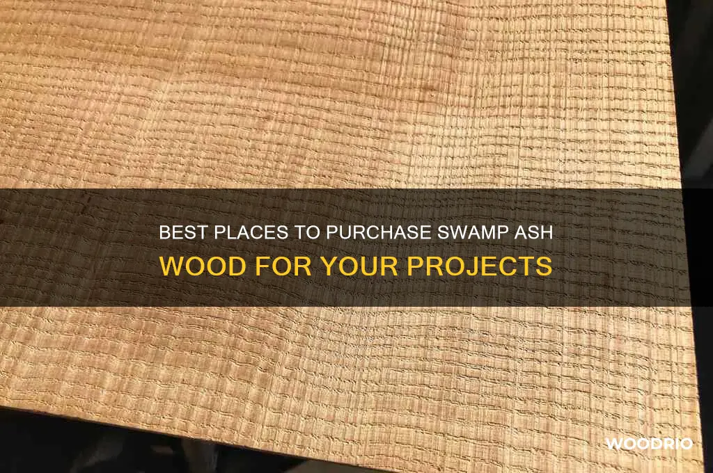 where to buy swamp ash wood