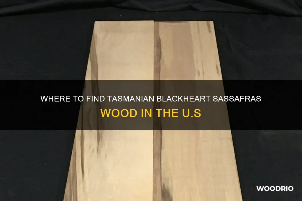 where to buy tasmanian blackheart sassafras wood in united states