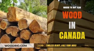 Top Canadian Suppliers for Premium Teak Wood: A Comprehensive Guide