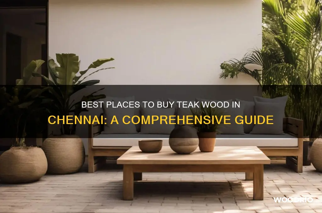 where to buy teak wood in chennai