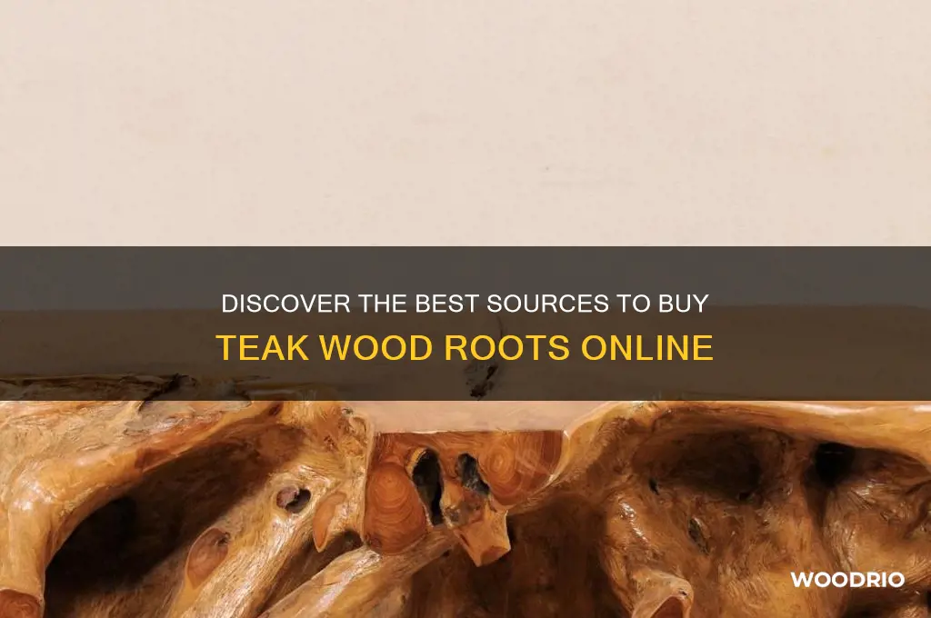 where to buy teak wood roots