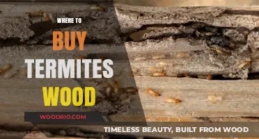 Best Places to Purchase Termite-Infested Wood for Unique Projects