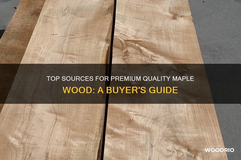 where to buy the best maple wood
