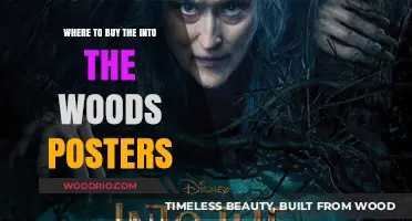 Where to Find and Buy Into the Woods Posters Online