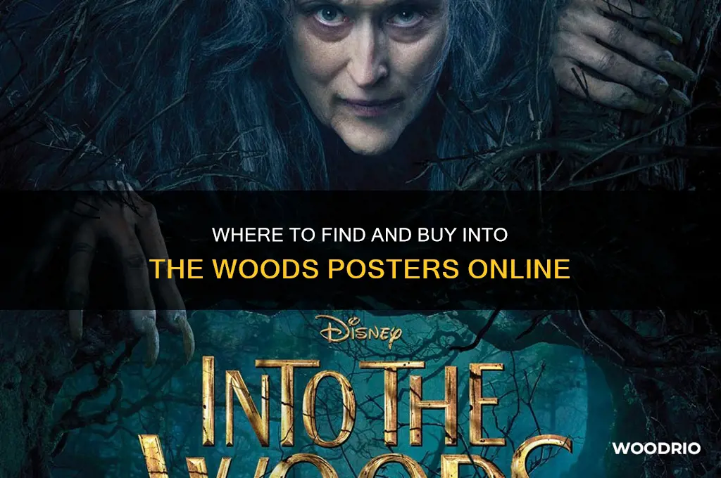 where to buy the into the woods posters
